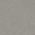 Shaw Dyersburg Carpet Color Morning Fog