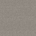 SHAW BREAK FREE WHISPERS CARPET