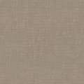 SHAW NATURAL INSTINCT CARPET FLAX 00104