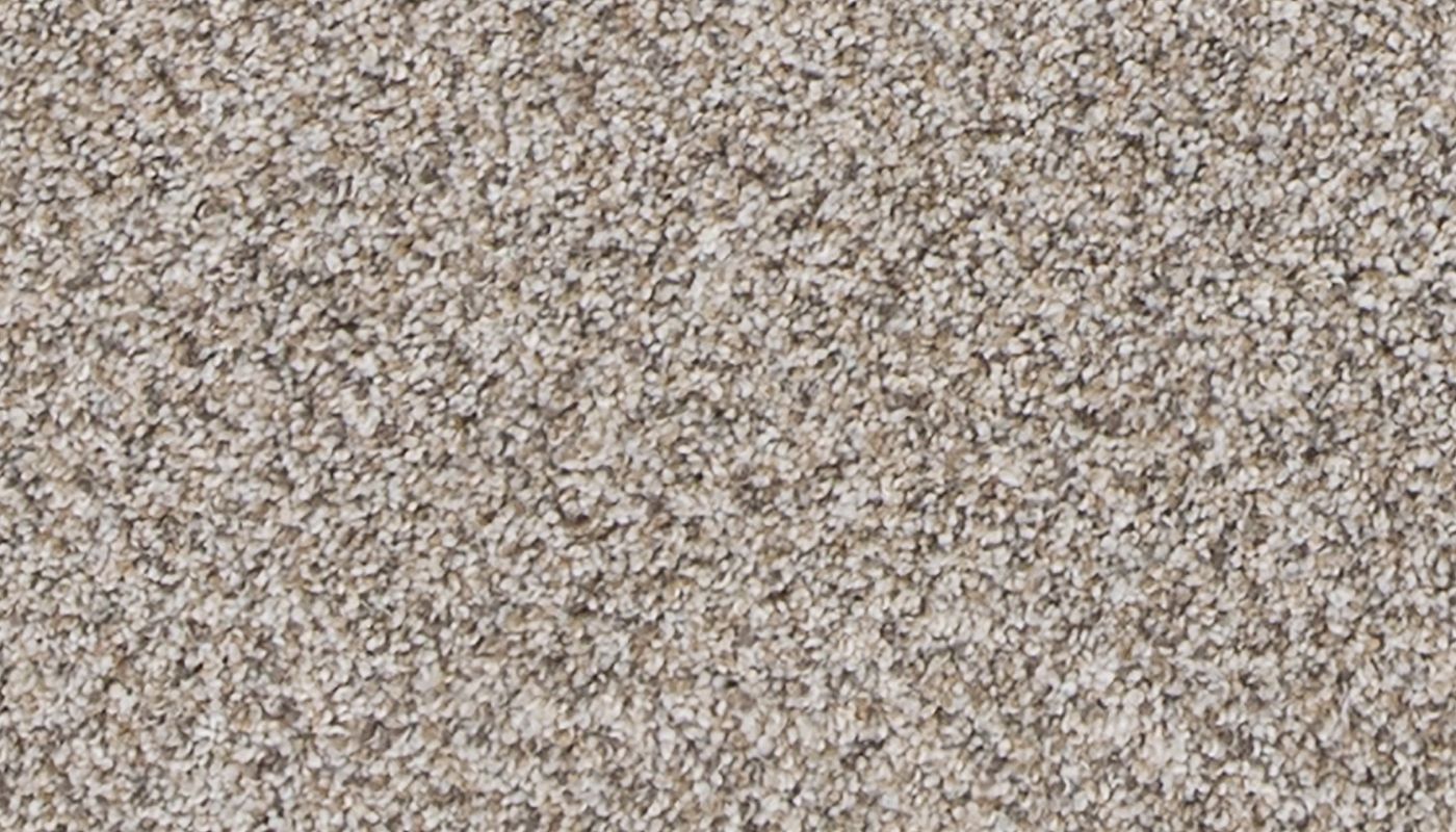 Mohawk Pet Premier Canine Comfort