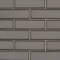 MSI Champagne Bevel Subway Tile 2x6 GLOSSY