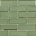 MSI Evergreen Beveled Subway Tile 2x6