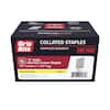 Grip-Rite 1/4 in. x 1-1/2 in. 18-Gauge Adhesive Collated Electrogalvanized L-Style Narrow Crown Finishing Staples 5000 per Box