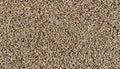 MOHAWK EverStrand|Renovate III Flaxseed
