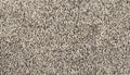MOHAWK SmartStrand|Grandeur Living Serene